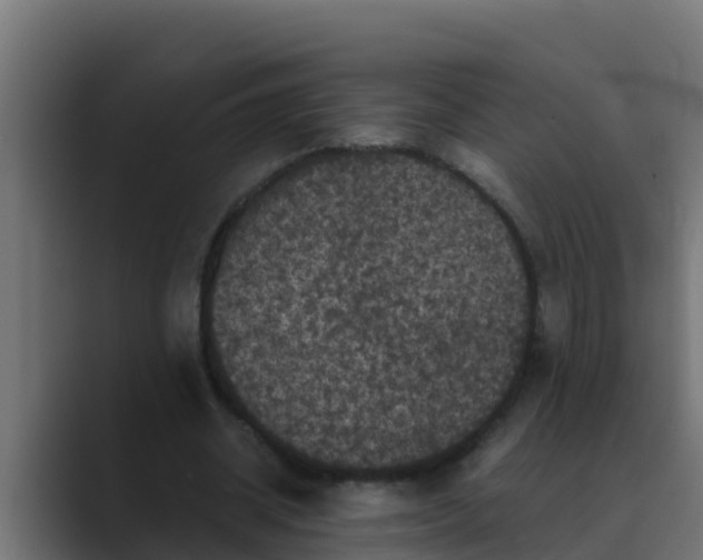 X0000088480534200706191408