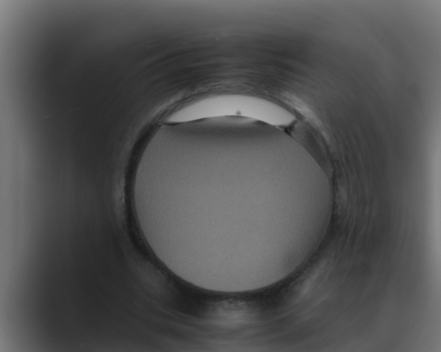 X0000088480535200706191408