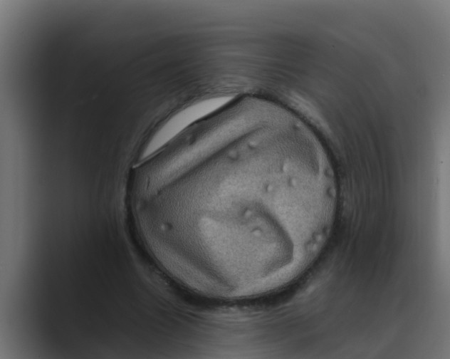 X0000088480538200706191408