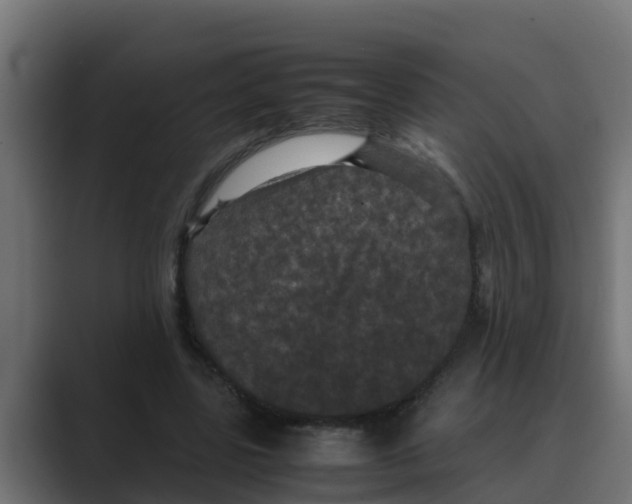 X0000088480539200706191408