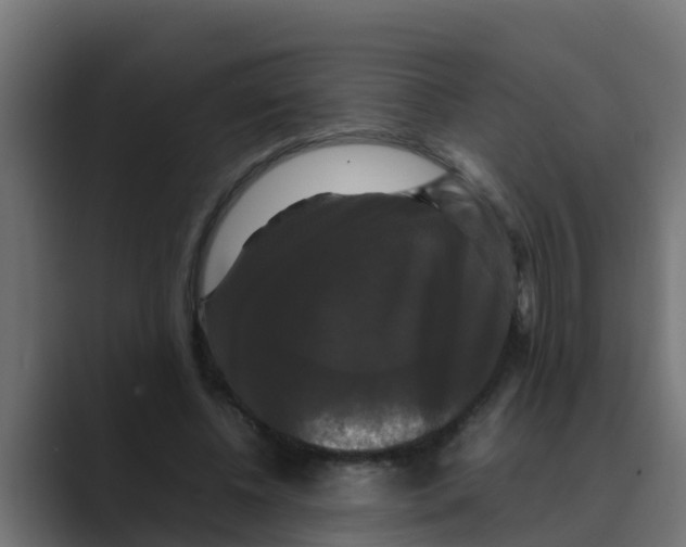 X0000088480540200706191408