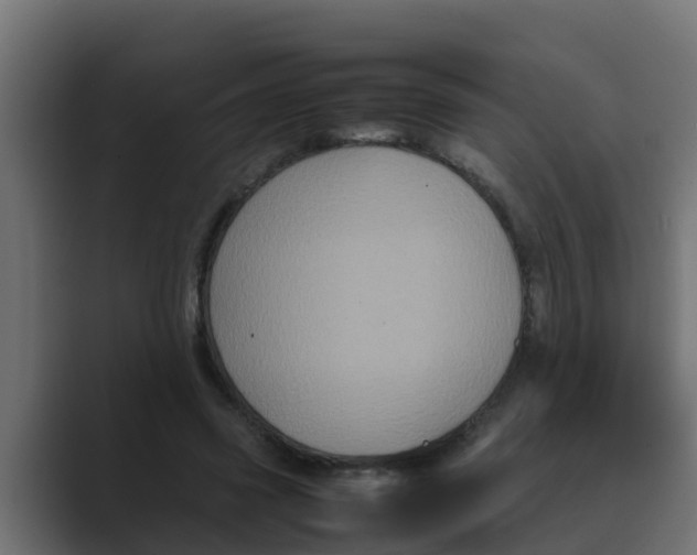 X0000088480541200706191408