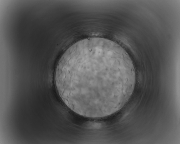 X0000088480545200706191408