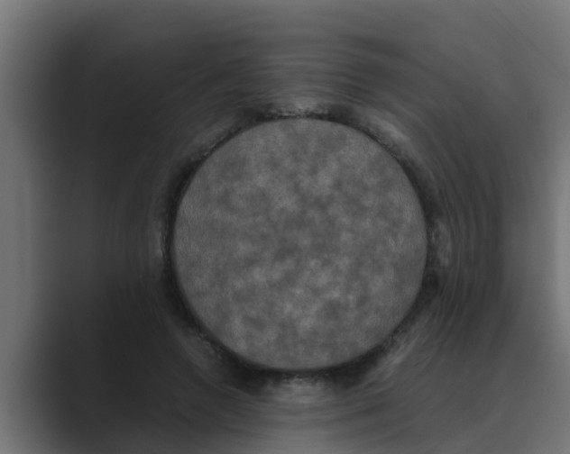 X0000088480546200706191408