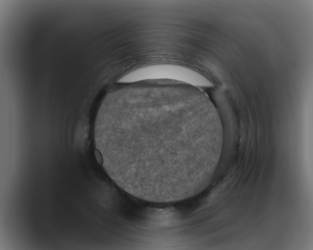 X0000088480548200706191408