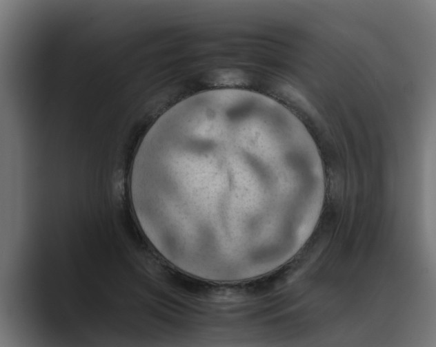 X0000088480549200706191408