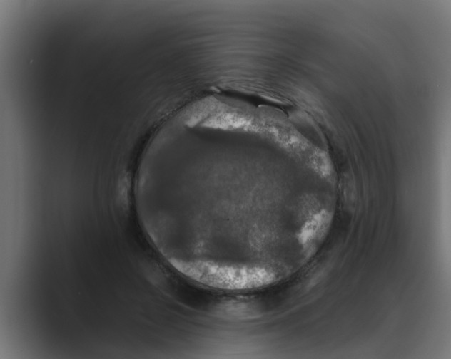 X0000088480550200706191408