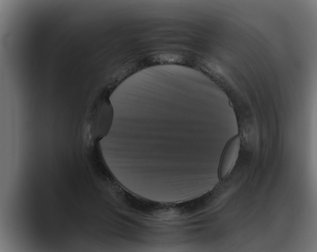 X0000088480551200706191408