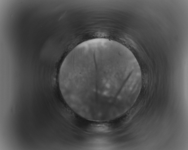 X0000088480553200706191408