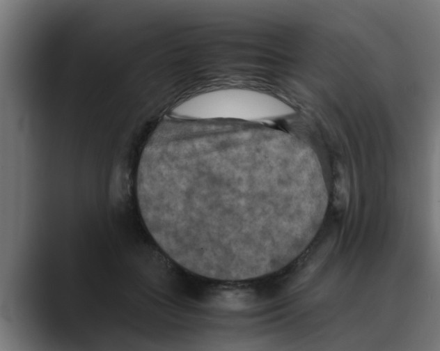 X0000088480555200706191408