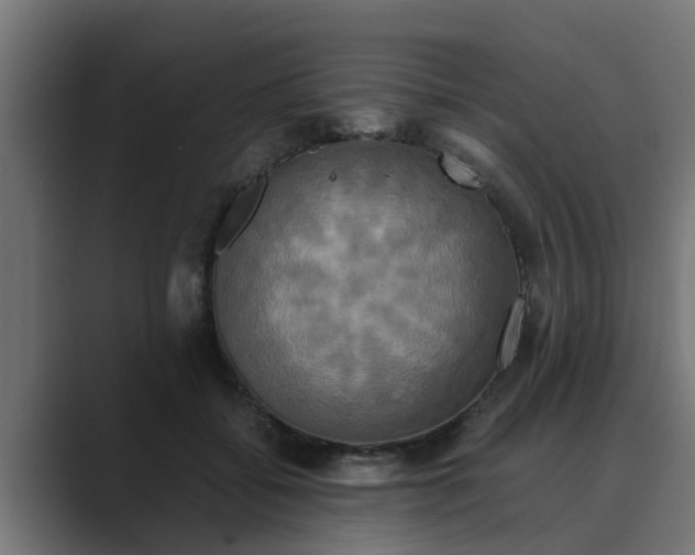 X0000088480556200706191408