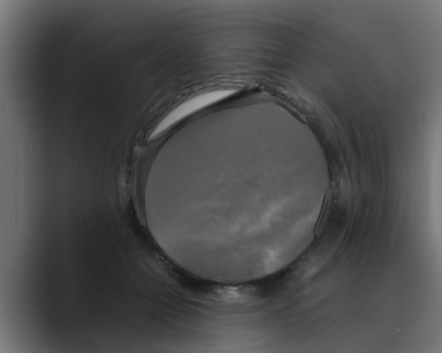 X0000088480558200706191408