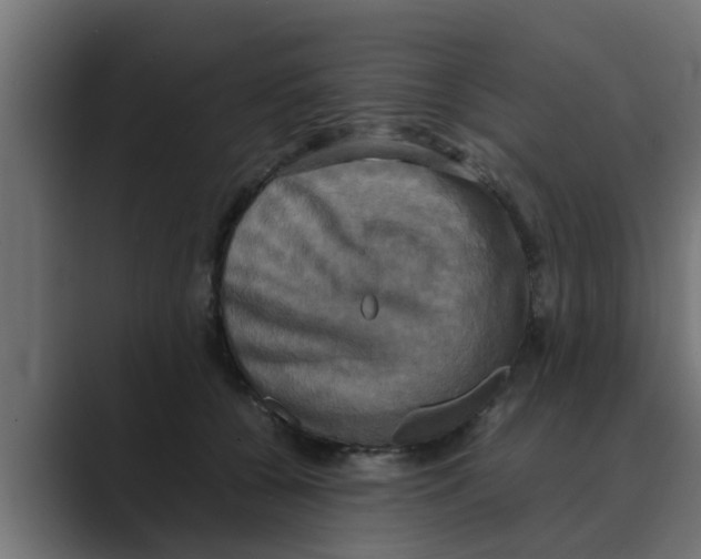 X0000088480560200706191408