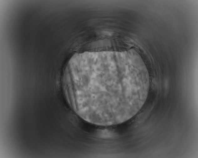 X0000088480561200706191408