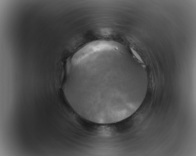 X0000088480562200706191408