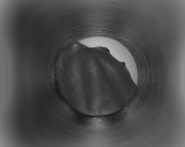 X0000088480566200706191408