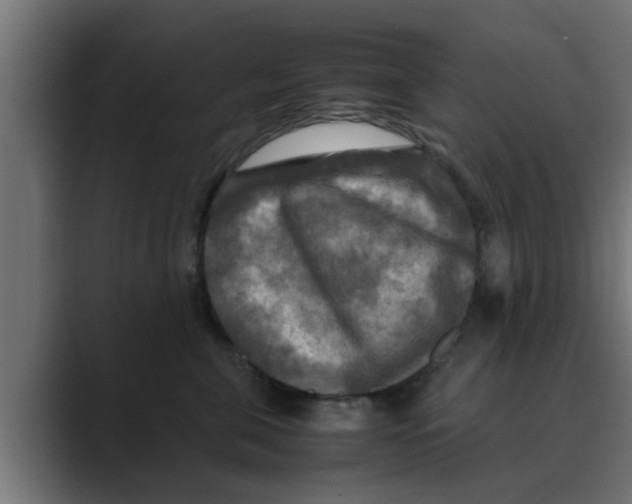 X0000088480571200706191409