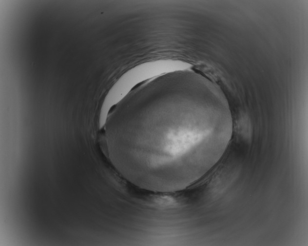 X0000088480572200706191409