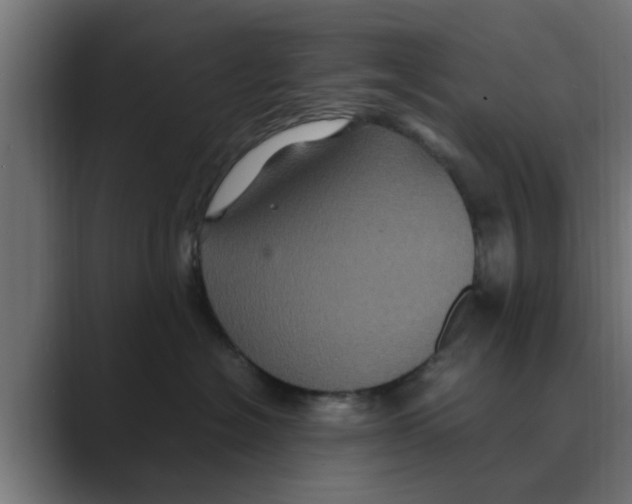 X0000088480574200706191409