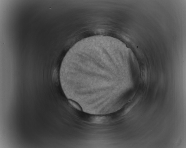 X0000088480575200706191409