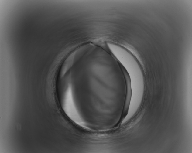 X0000088480577200706191408