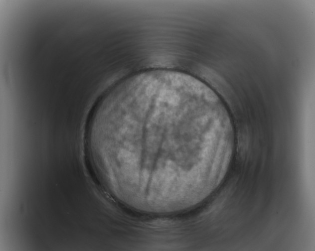 X0000088480578200706191408