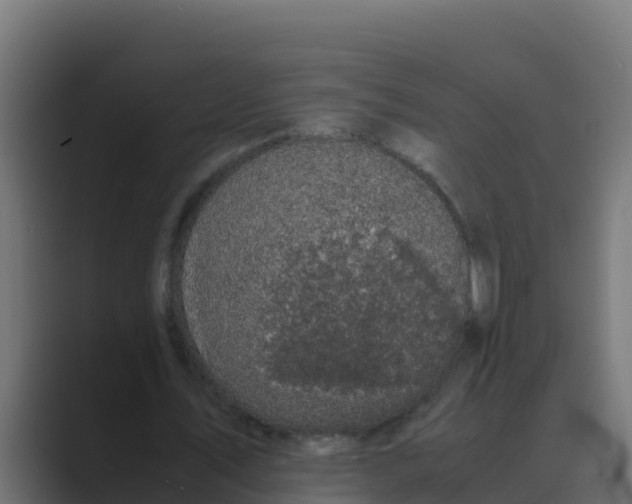 X0000088480579200706191408