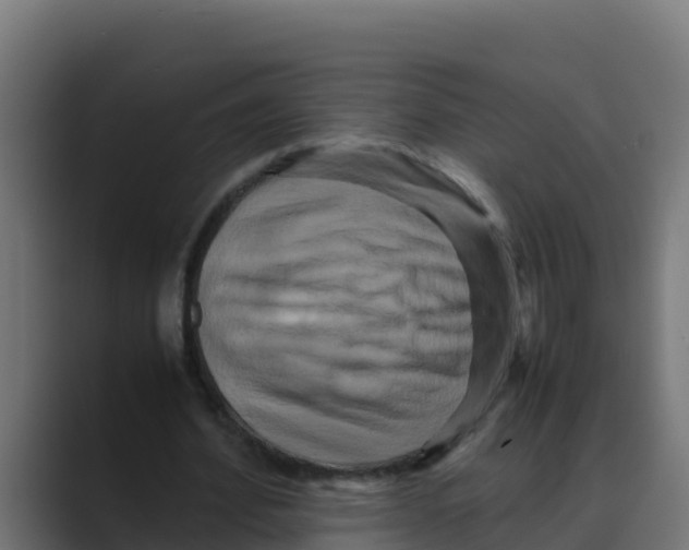 X0000088480580200706191408