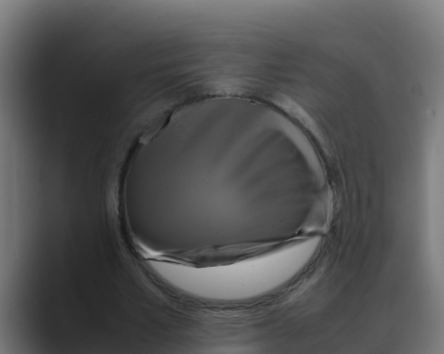 X0000088480581200706191408