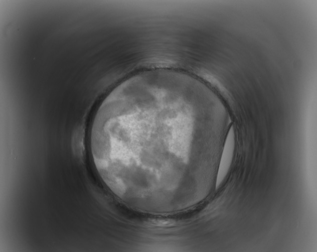 X0000088480582200706191408