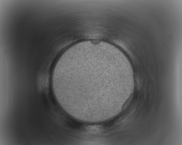 X0000088480583200706191408