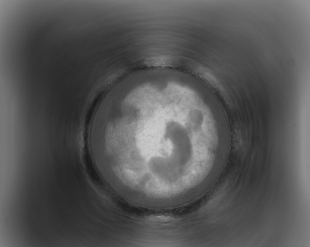 X0000088480586200706191408