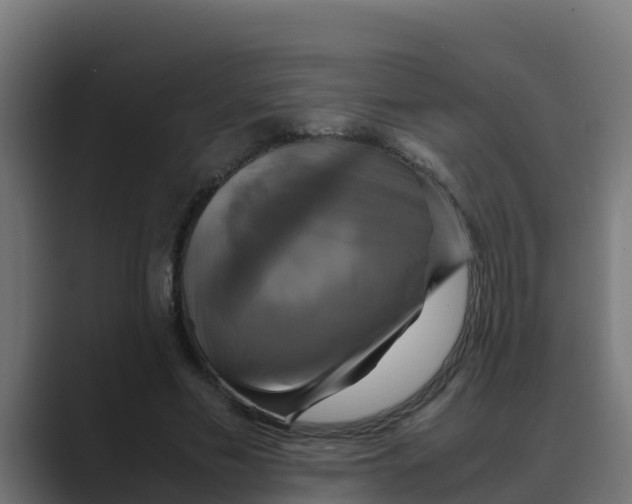 X0000088480589200706191408