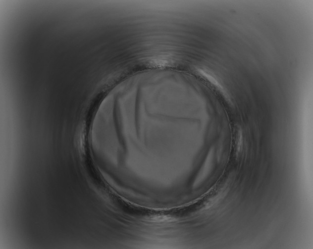 X0000088480590200706191408