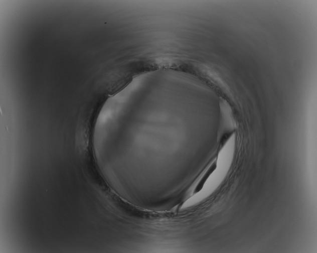 X0000088480593200706191408