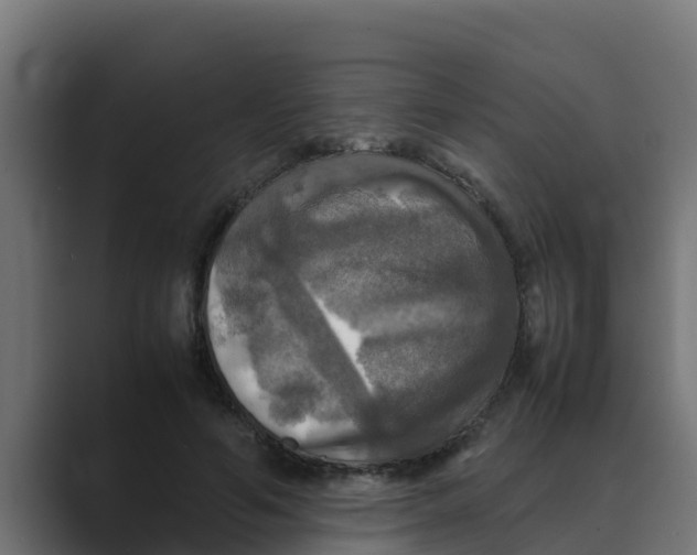 X0000088480594200706191408