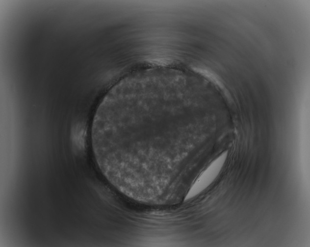 X0000088480596200706191408