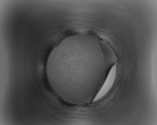 X0000088480597200706191408