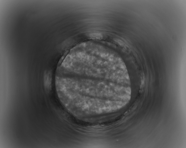 X0000088480600200706191408