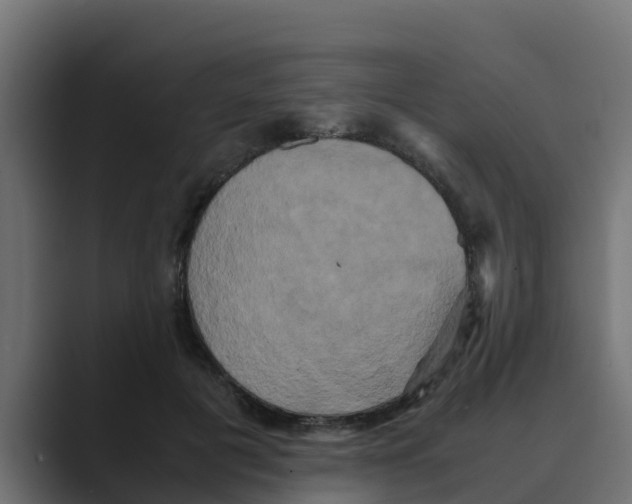 X0000088480601200706191408