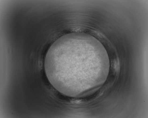 X0000088480602200706191408