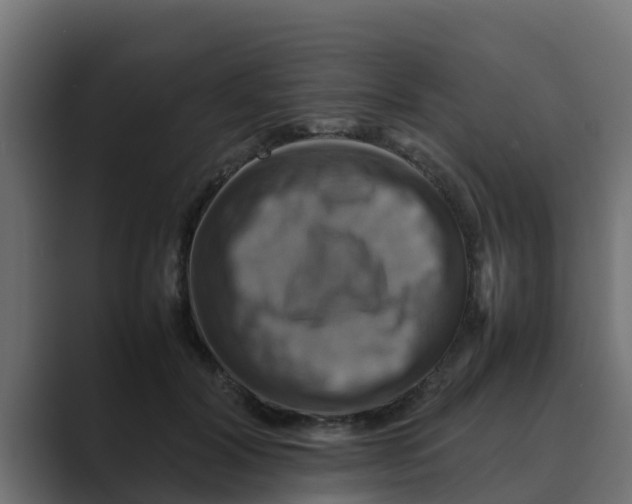 X0000088480604200706191408