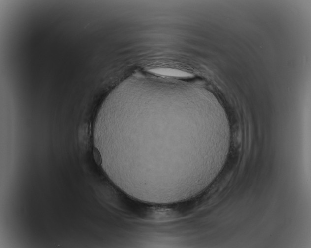 X0000088480605200706191408