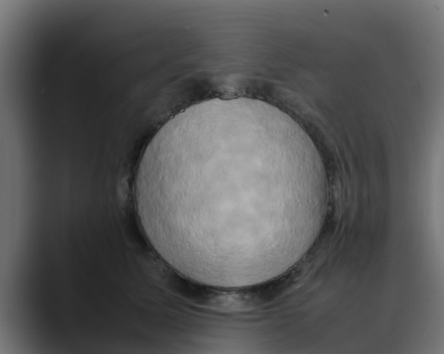 X0000088480611200706191408