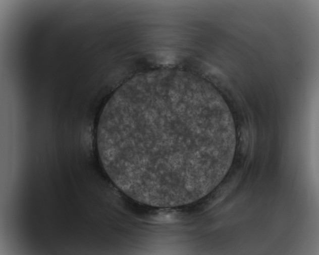 X0000088480612200706191408