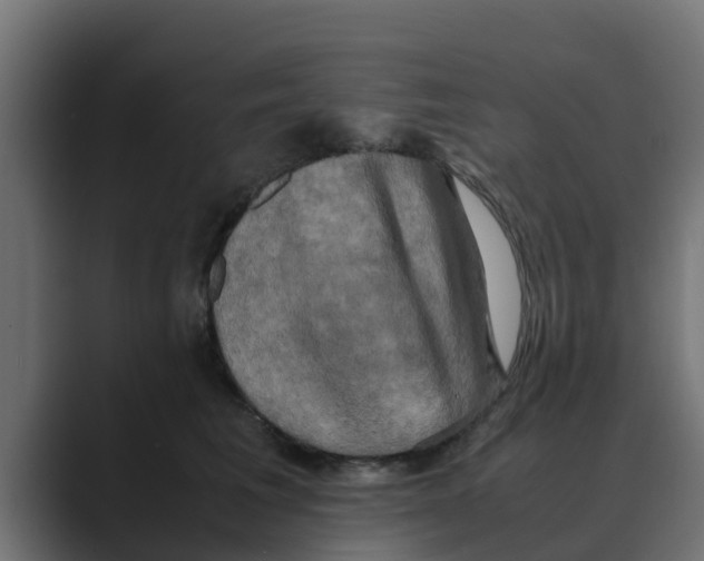 X0000088480613200706191408