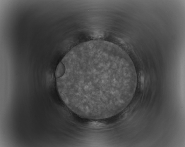 X0000088480614200706191408