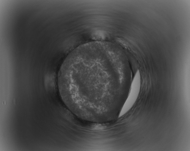 X0000088480616200706191408