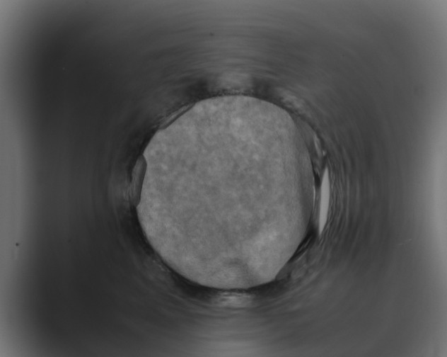 X0000088480617200706191408