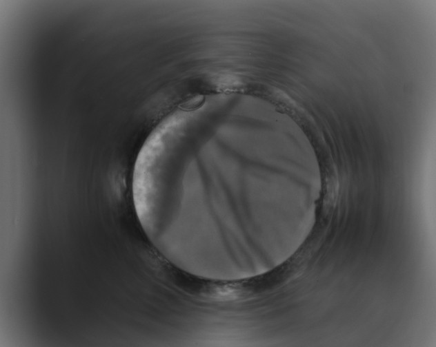 X0000088480618200706191408